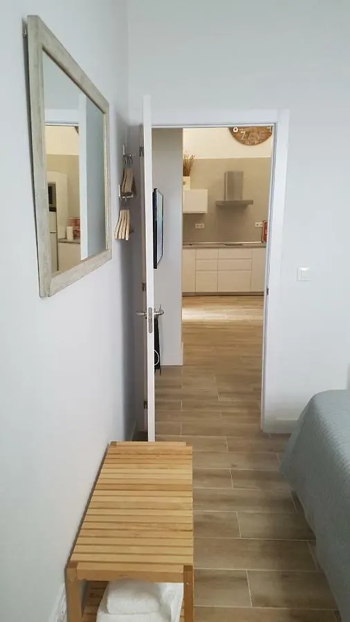 Luxury Apartment In Triana Close To The River Seville